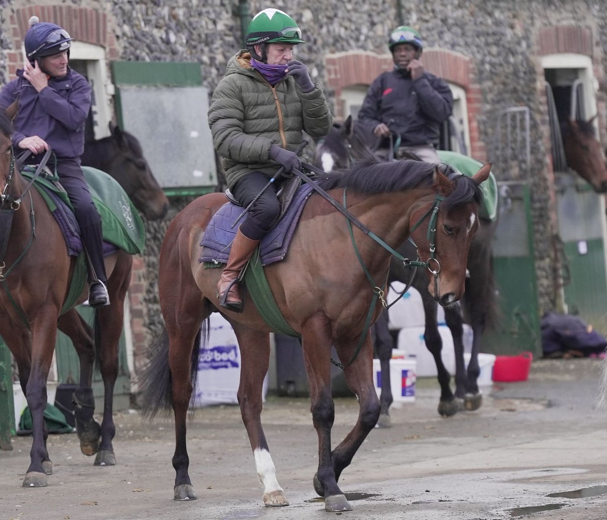 Josh 🏇🌟💚 tweet media