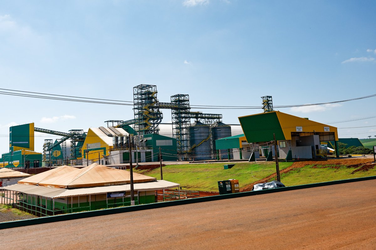 Ratinho Junior tweet media