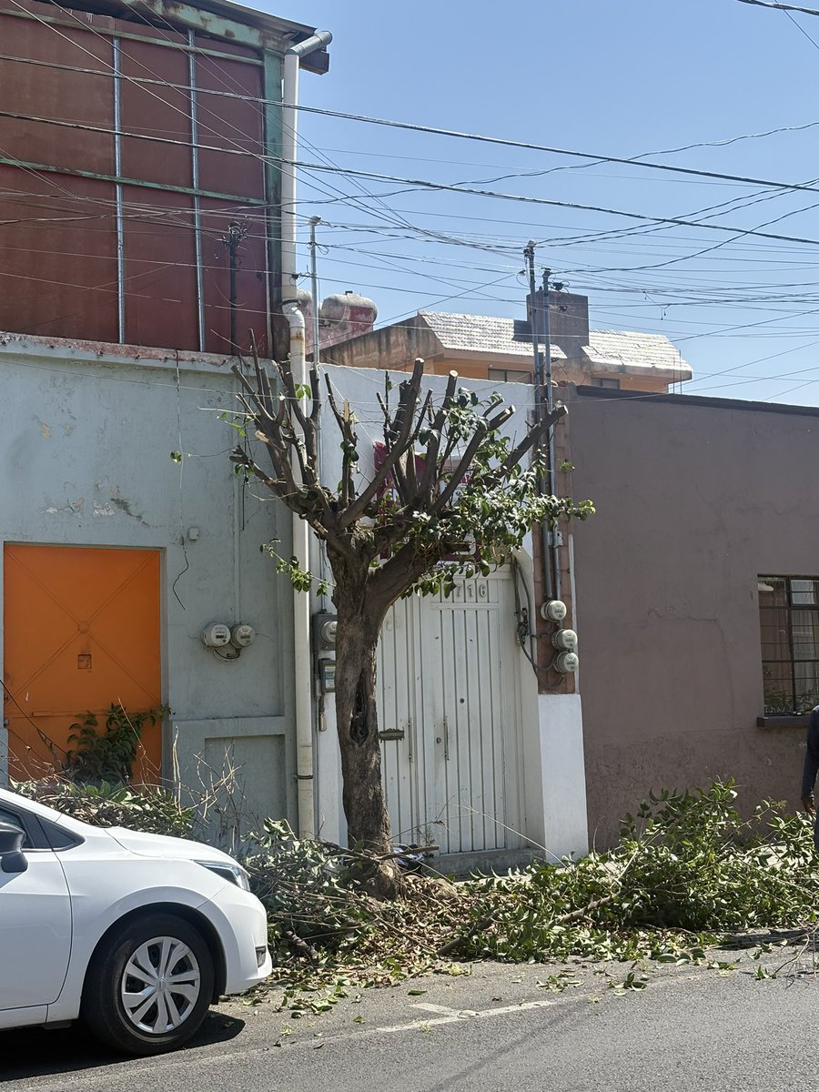 José Luis Escalera tweet media