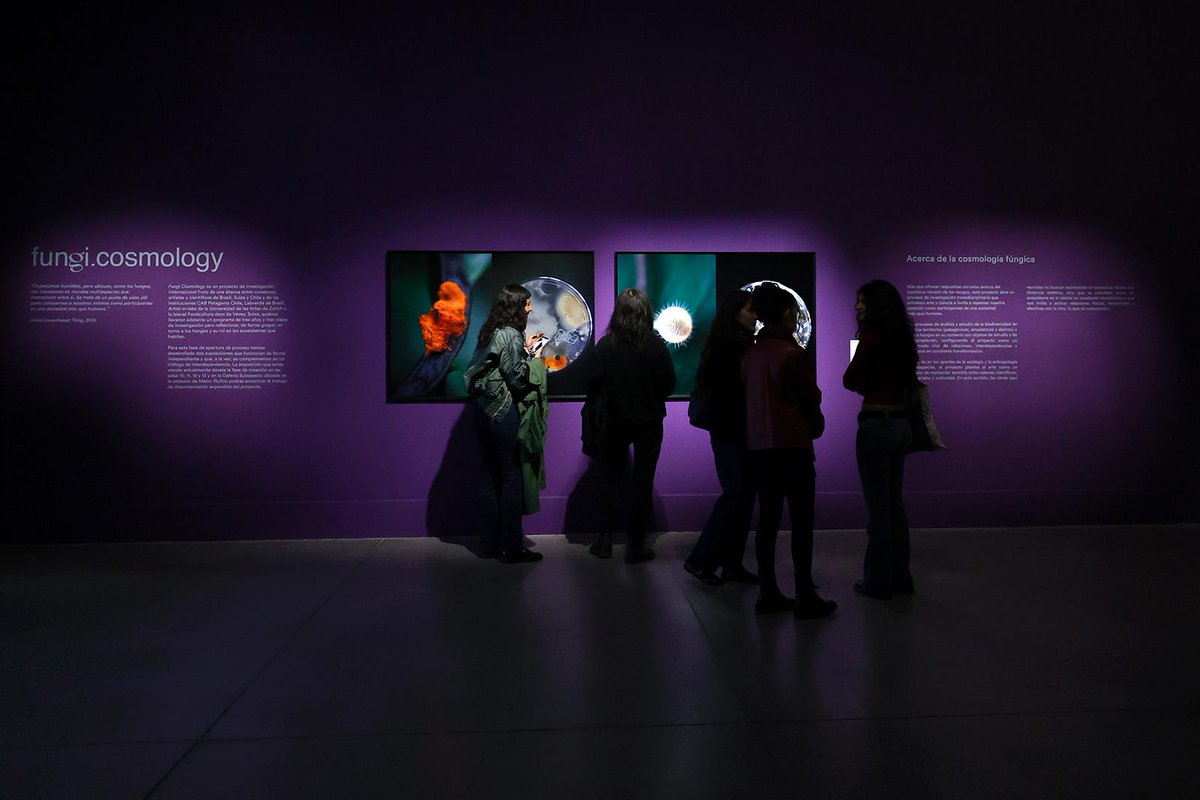 Universidad de Chile tweet media