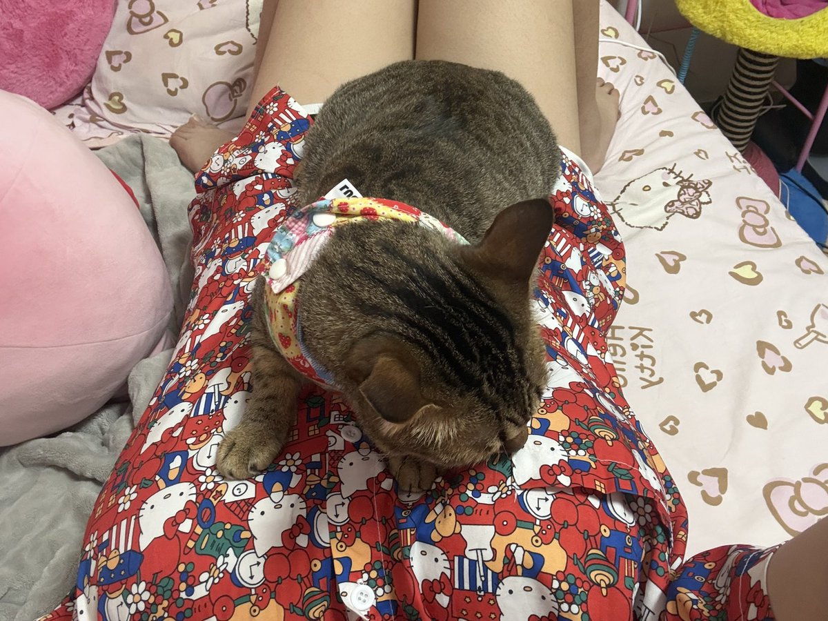 dingingcingking tweet media