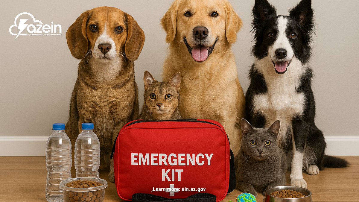 AzEIN's tweet image. 🐾 National Pet Day = Pet Prep Day! 🐶🐱
✔️ Food/water for 3+ days 🥤
✔️ Meds &amp;amp; vet records 💊
✔️ A recent photo 📸
✔️ Leashes &amp;amp; carriers 🦴

📌 Plan ahead—your pets count on you! #PetPreparedness