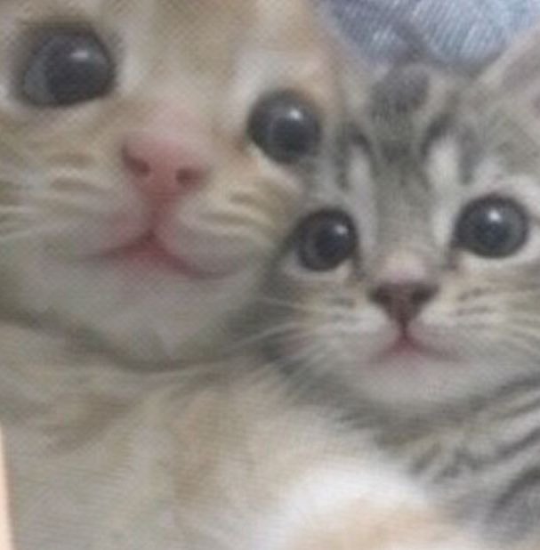 mari🪽is unique tweet media