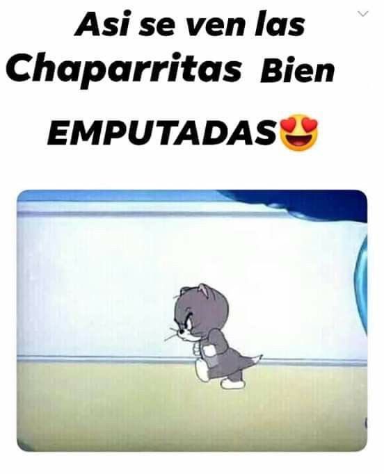 💗🌷Anii Perez🌷💗 tweet media