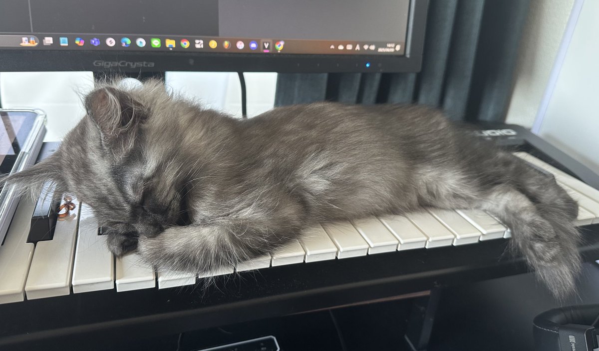 トーマの夢日記 tweet media