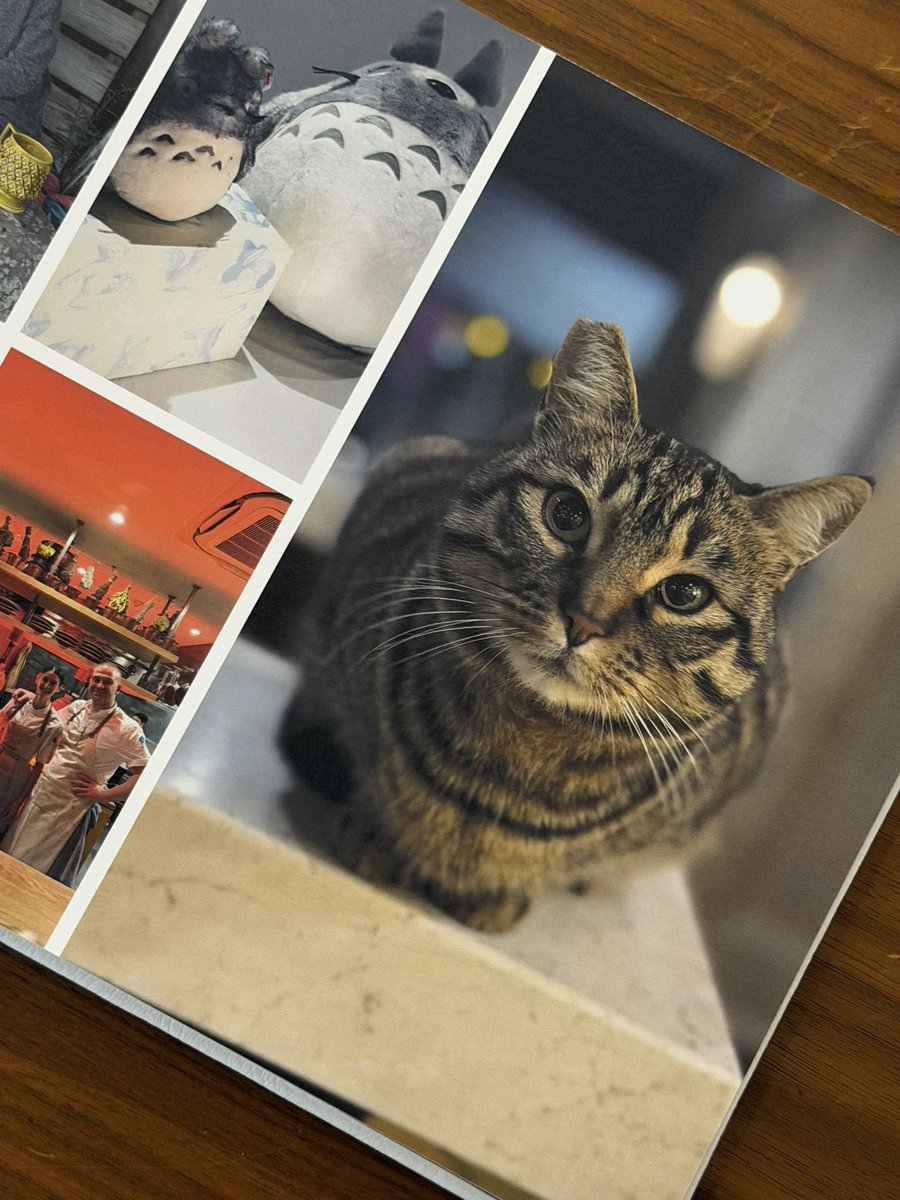 GarrySands's tweet photo. @SaalDigital #saaldigital

The physical feel of the photo album is amazing, the high quality acrylic cover and quality of ink is incredible. The App could use some improvement like smartly re-arranging pics (like Canva), but great product overall. https://t.co/9bz6CpNtKT