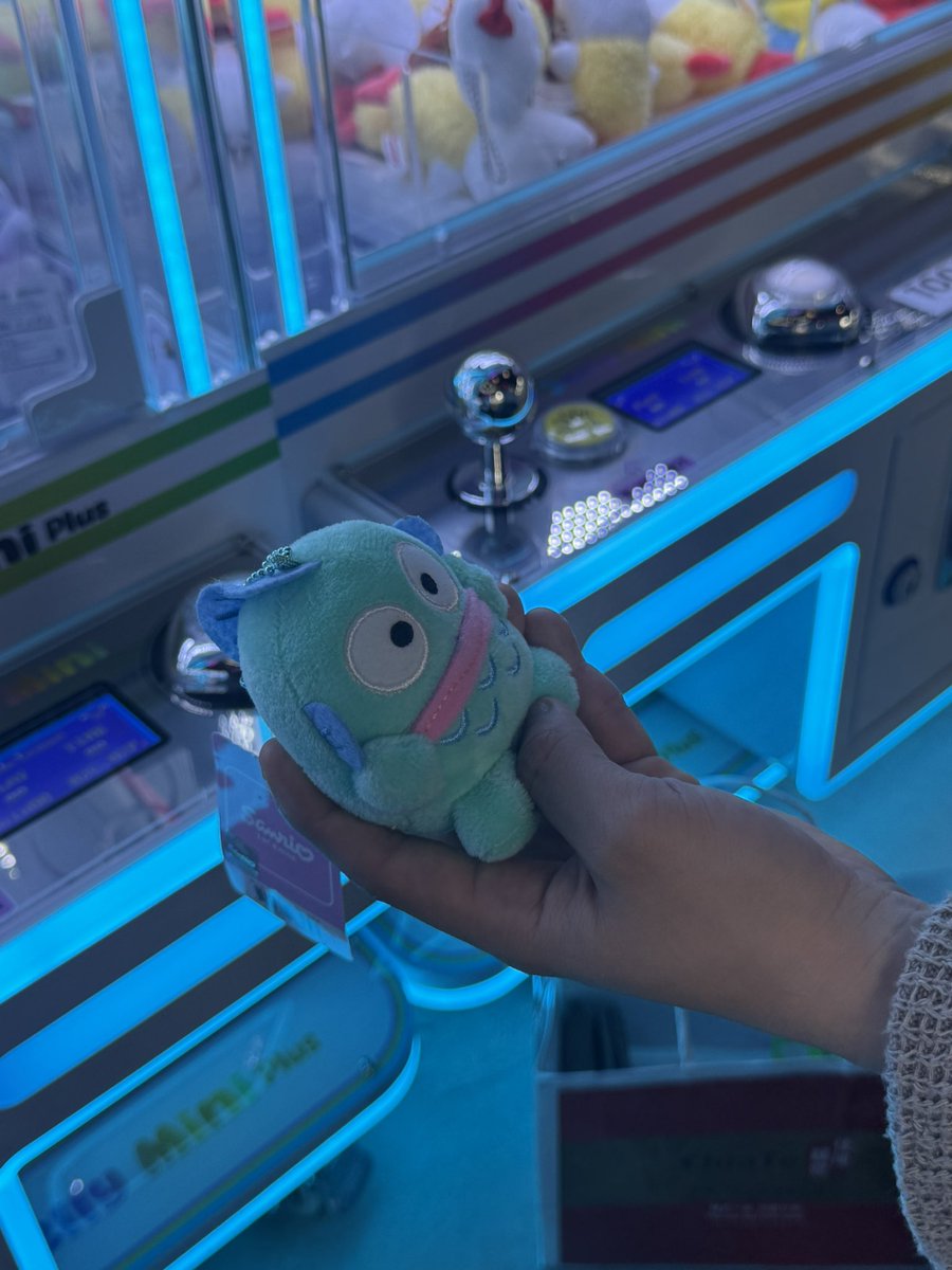 명차코🐶🩵 tweet media