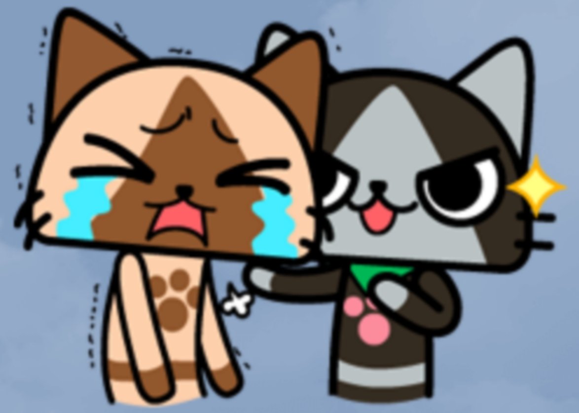 ソル・シエール tweet media