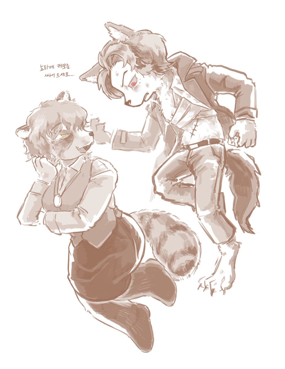 솔 ソル tweet media