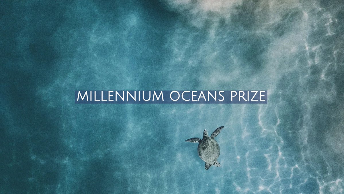 UN Youth Office tweet media