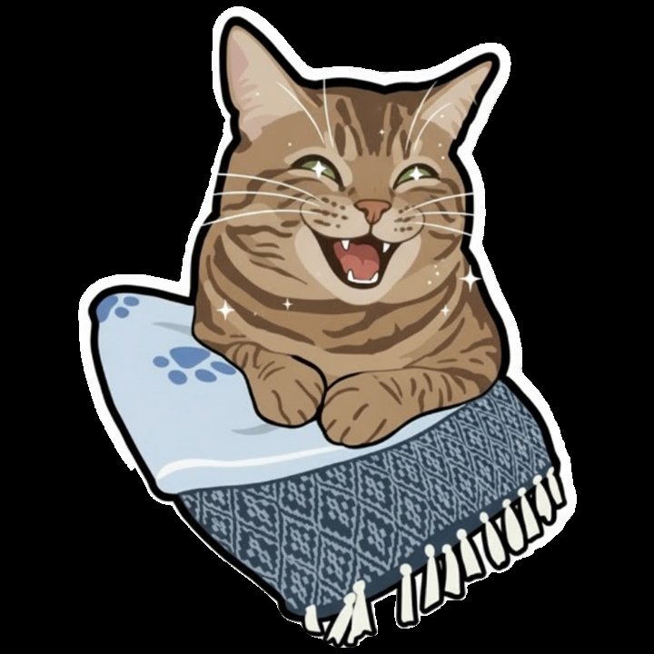 Quentin 合-HOP | BlinkAtinyStayBunnies tweet media