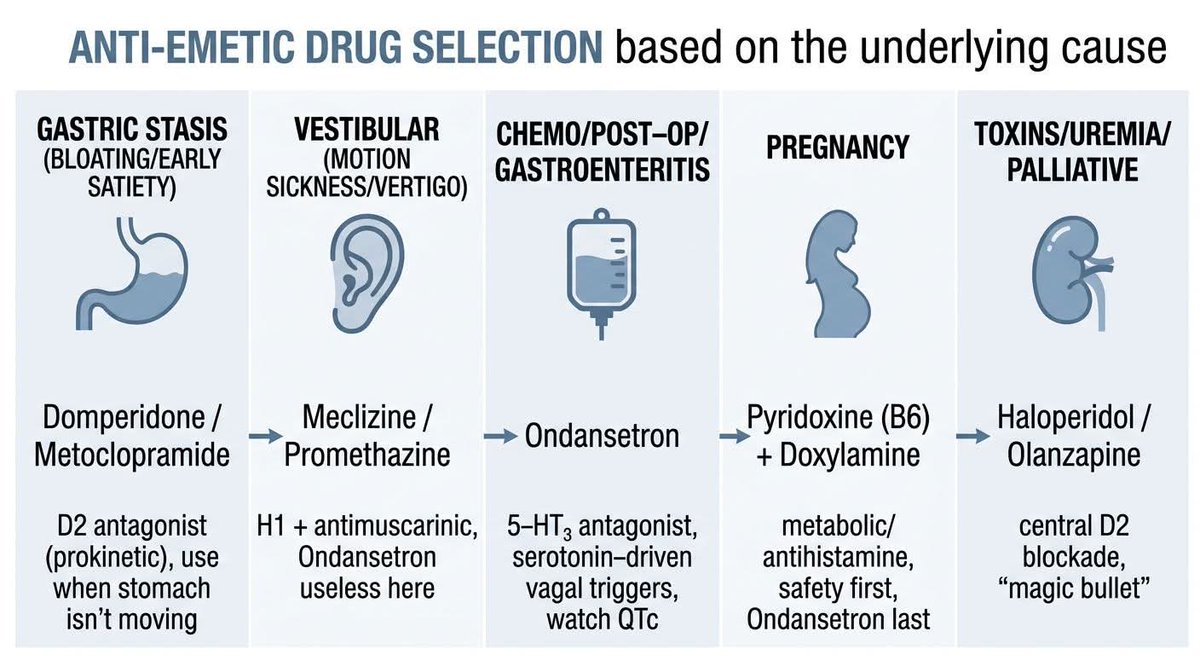 Dr mohamed Said Elgamal tweet media