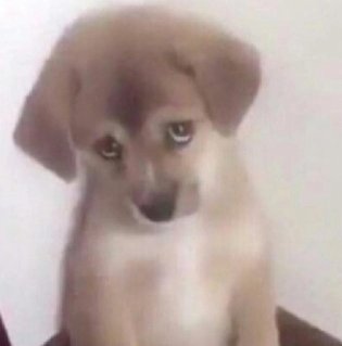 su🇹🇷 tweet media