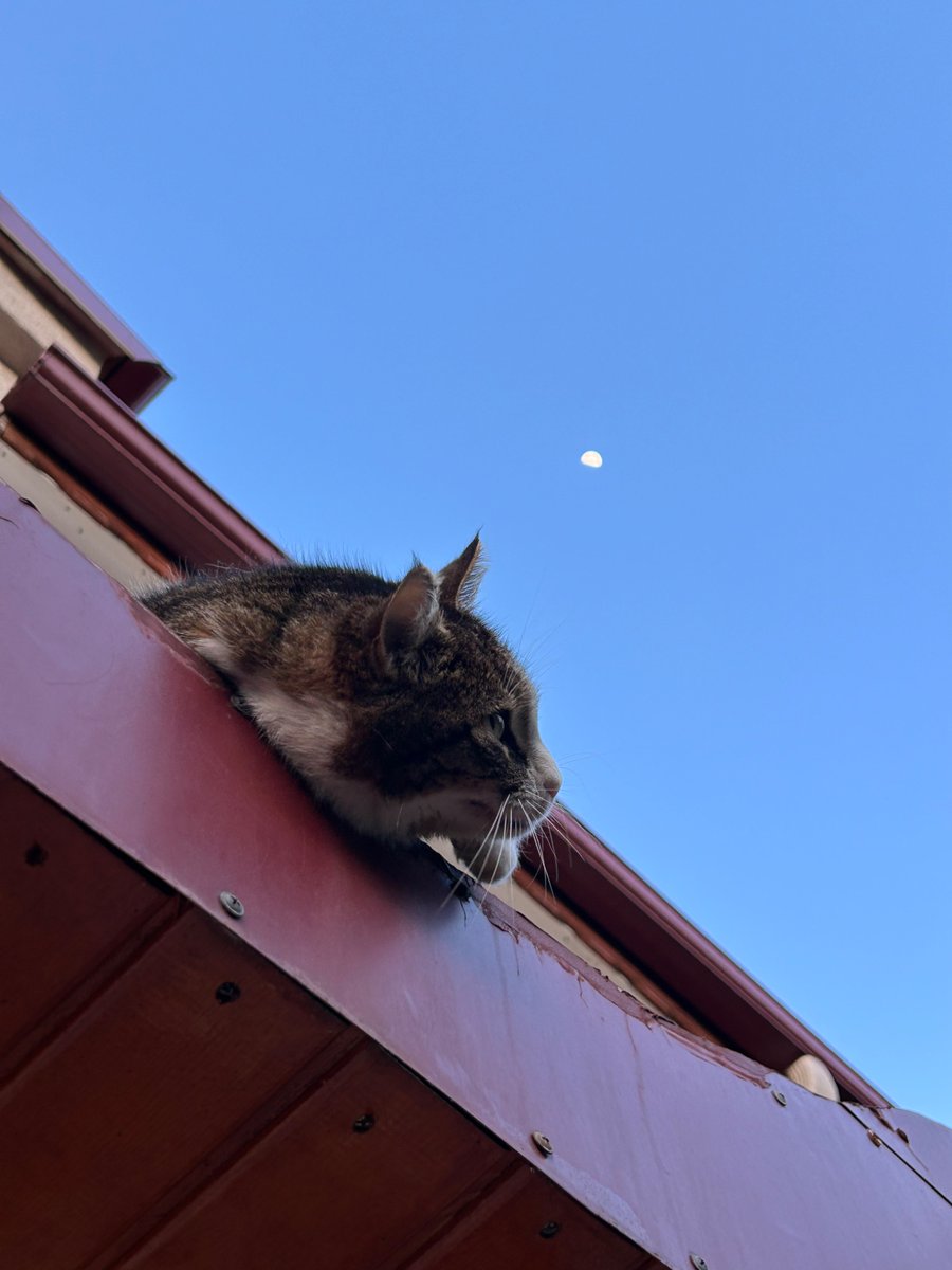 erd 〽️ tweet media