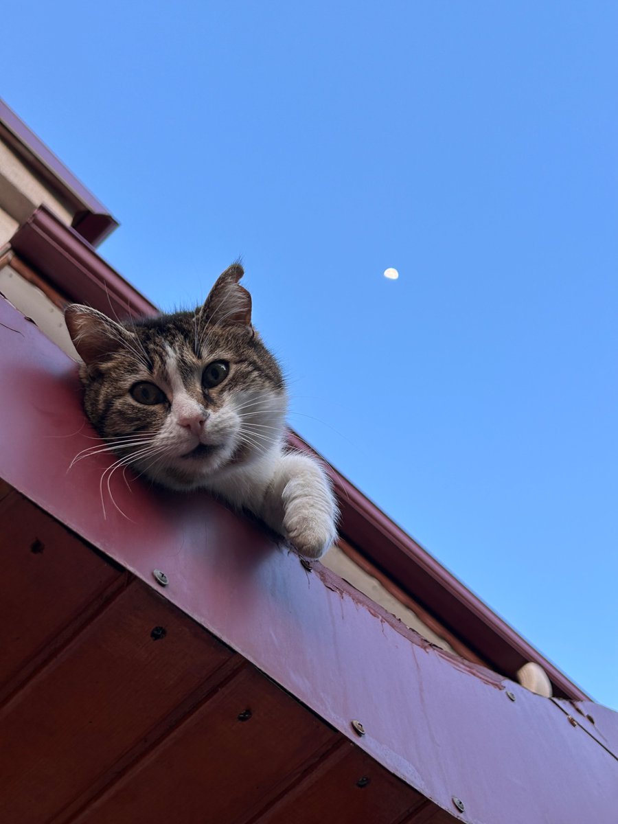 erd 〽️ tweet media