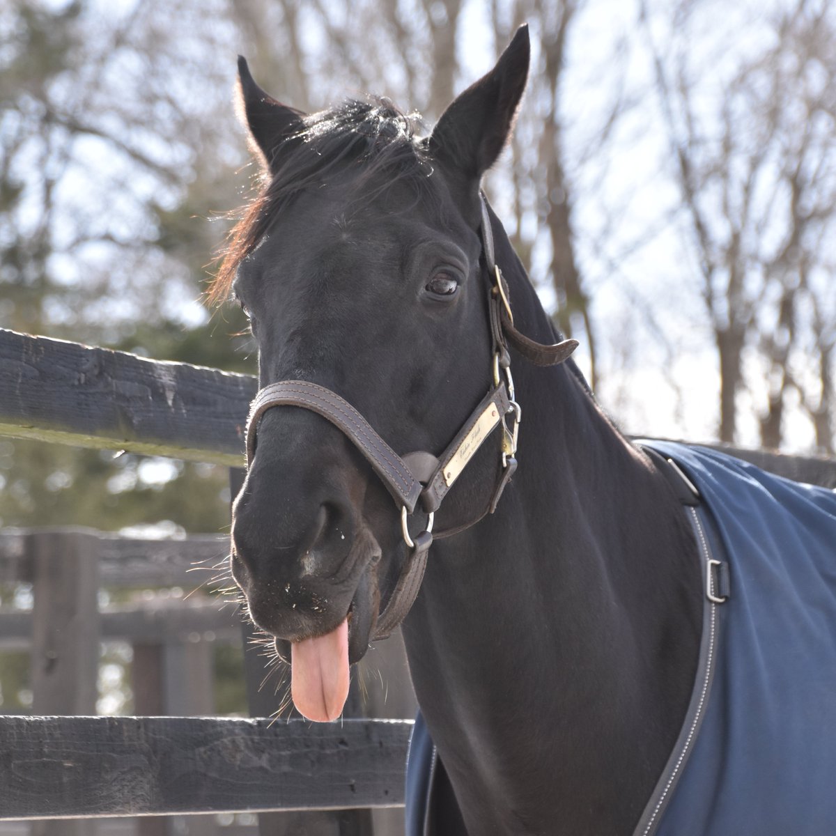 ちひろ tweet media