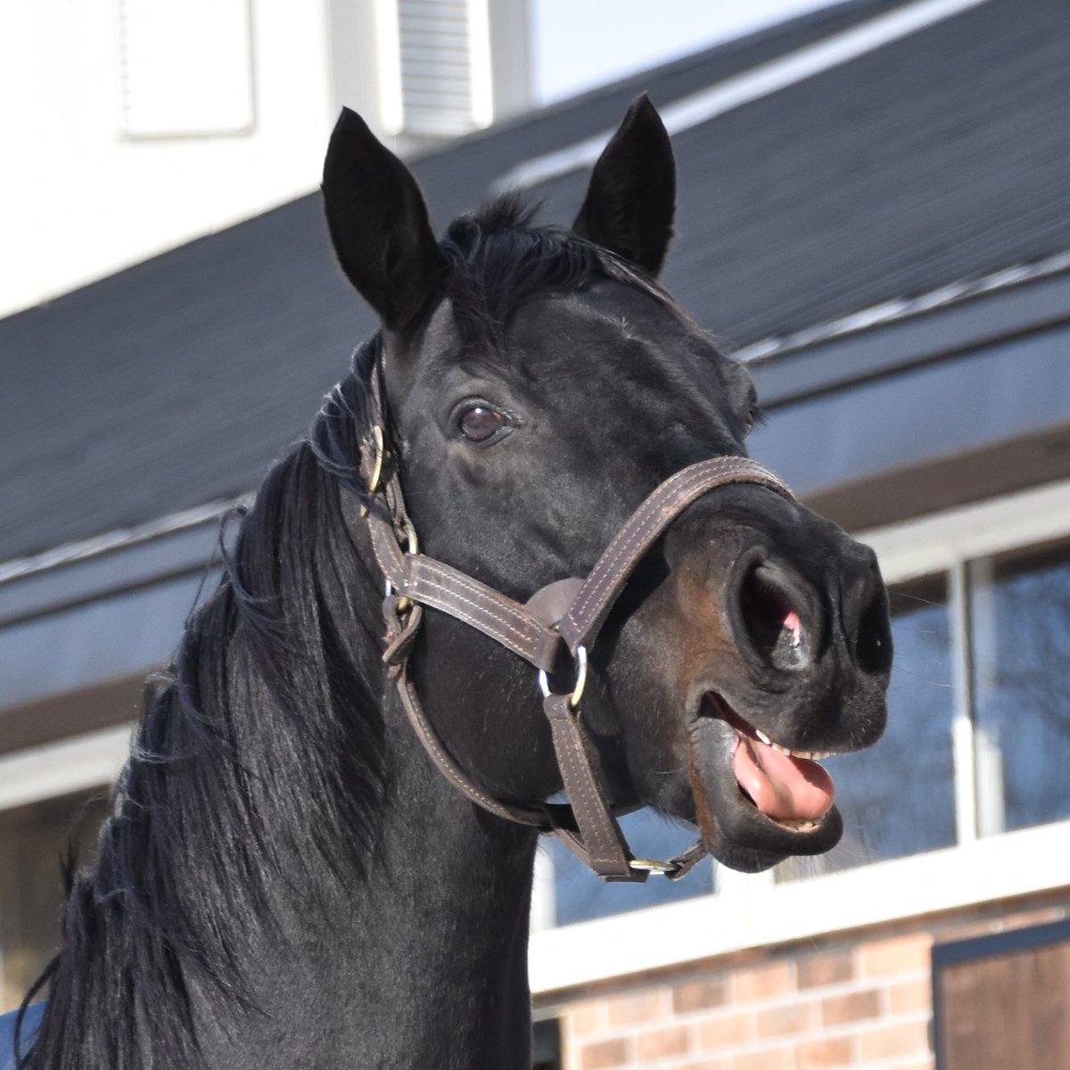 ちひろ tweet media