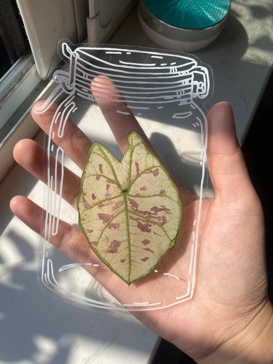 photsawat tweet media