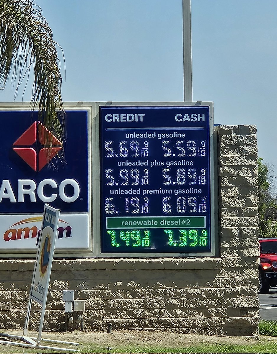 Sloushy (the plushie hamster) tweet media