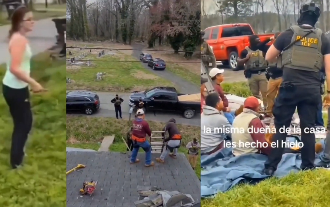 Occupy Democrats tweet media