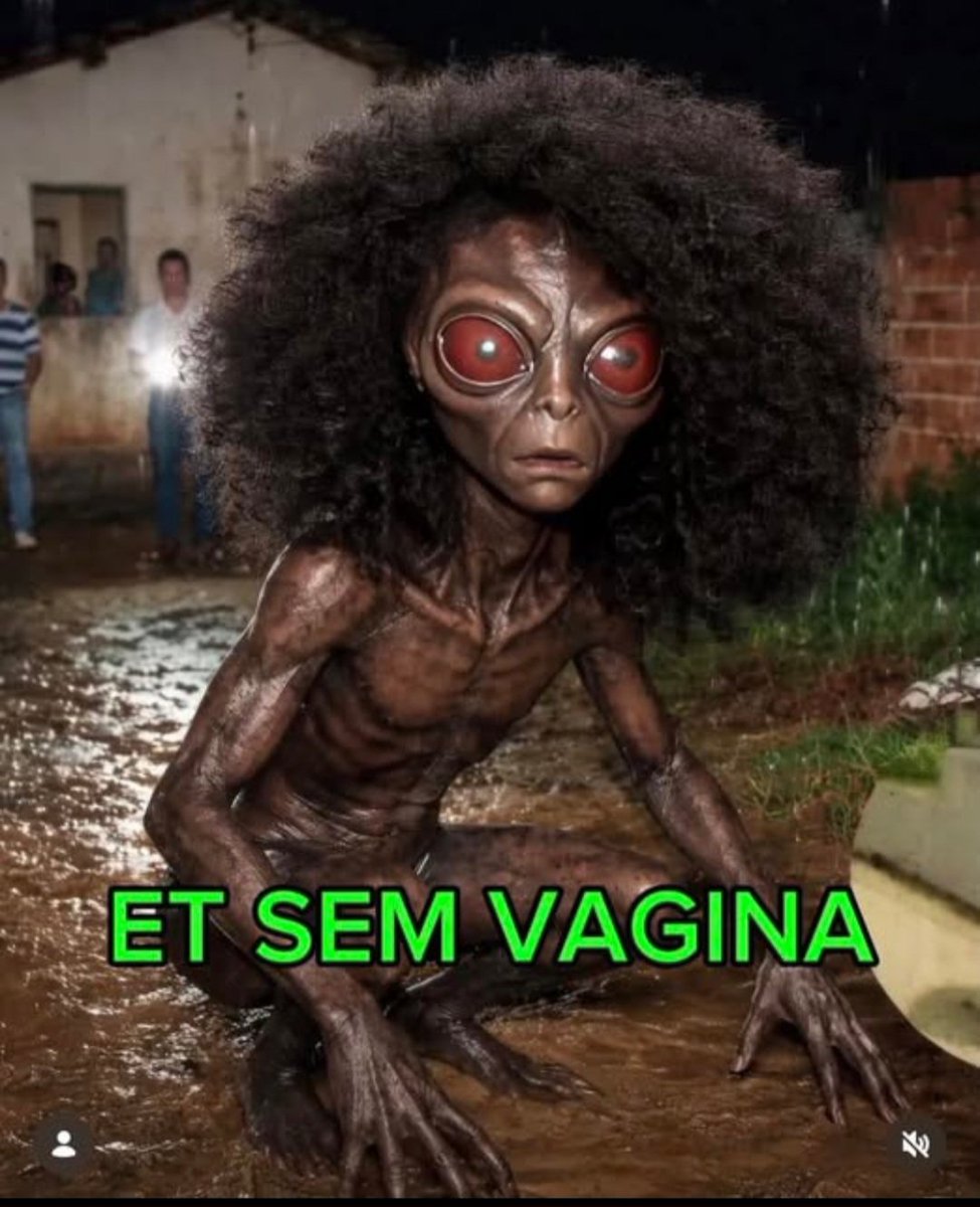 DireitaNow tweet media