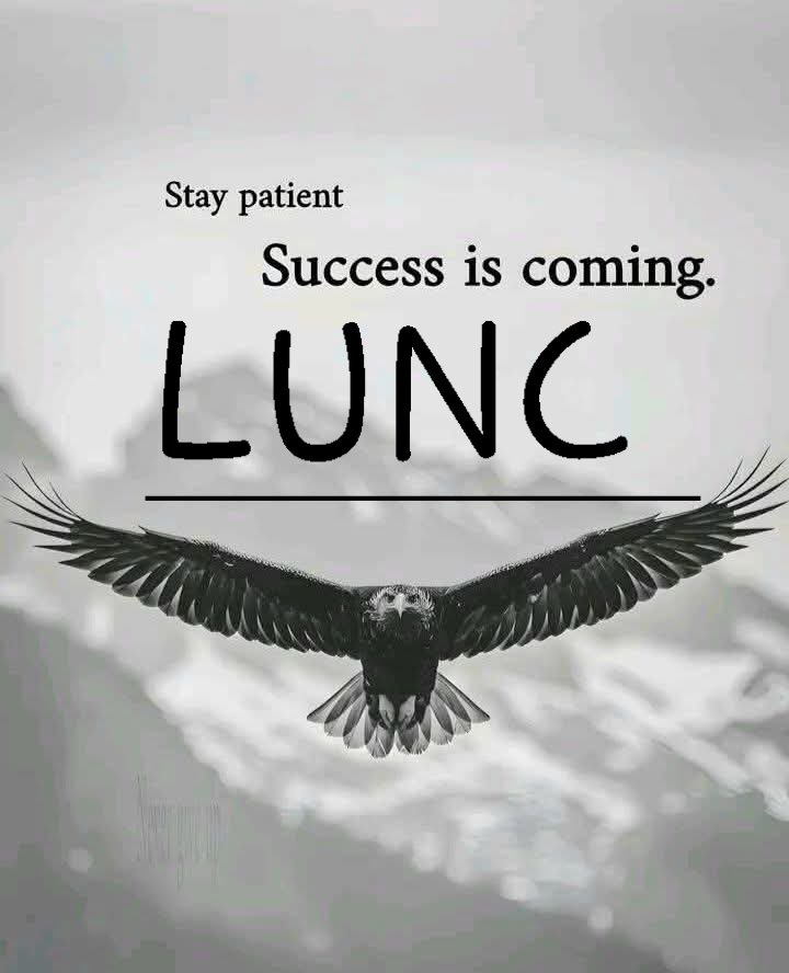 Z3r0w 🔶 Traders tweet media