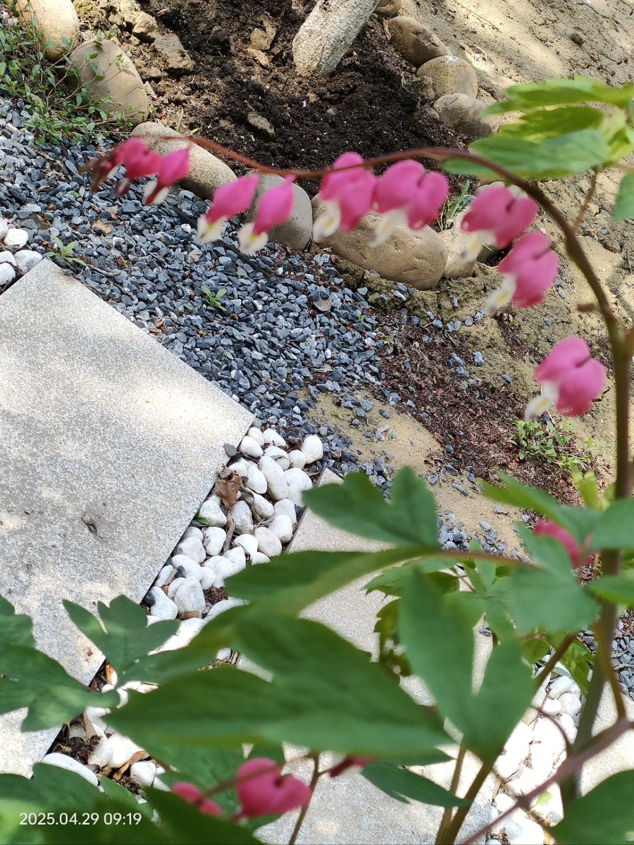 ООО Твой спорт tweet media