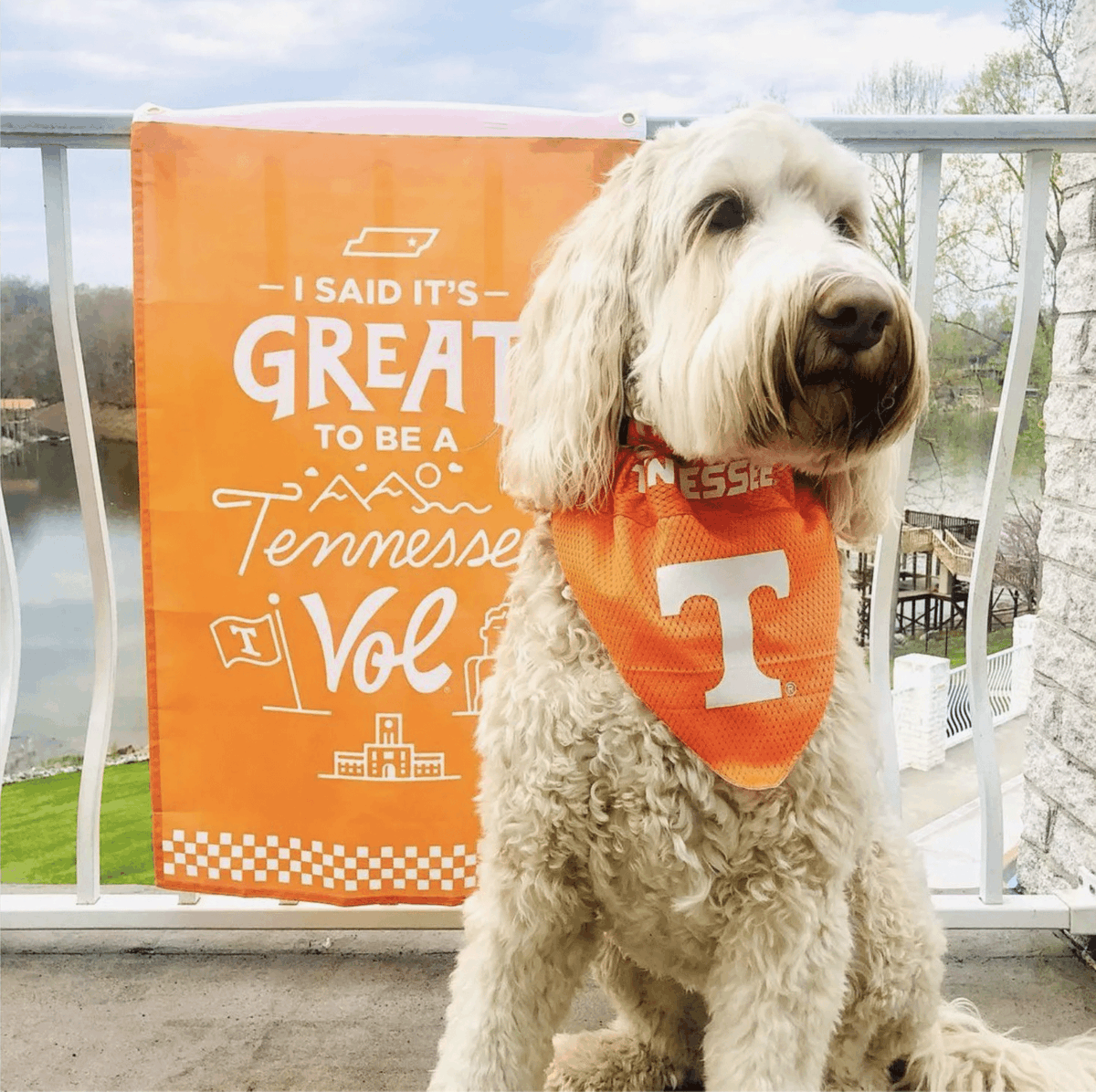 UT Knoxville Alumni tweet media
