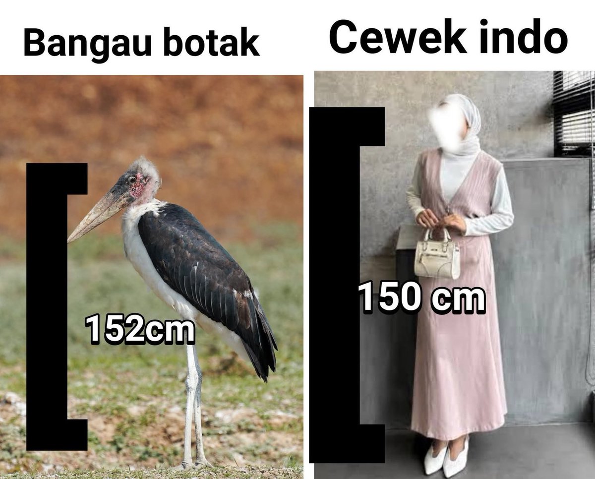 sosmed keras tweet media