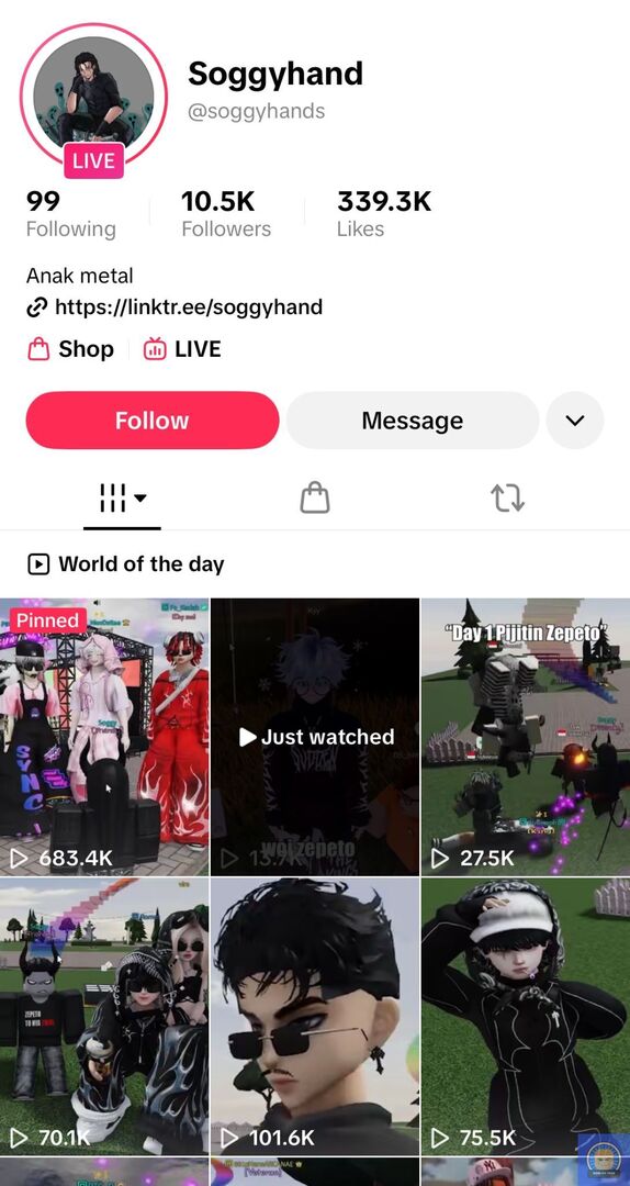 Roblox Fess tweet media