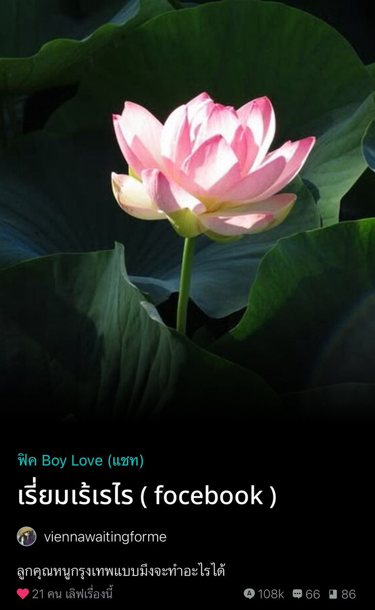 goofy ˚ ༘♡ tweet media