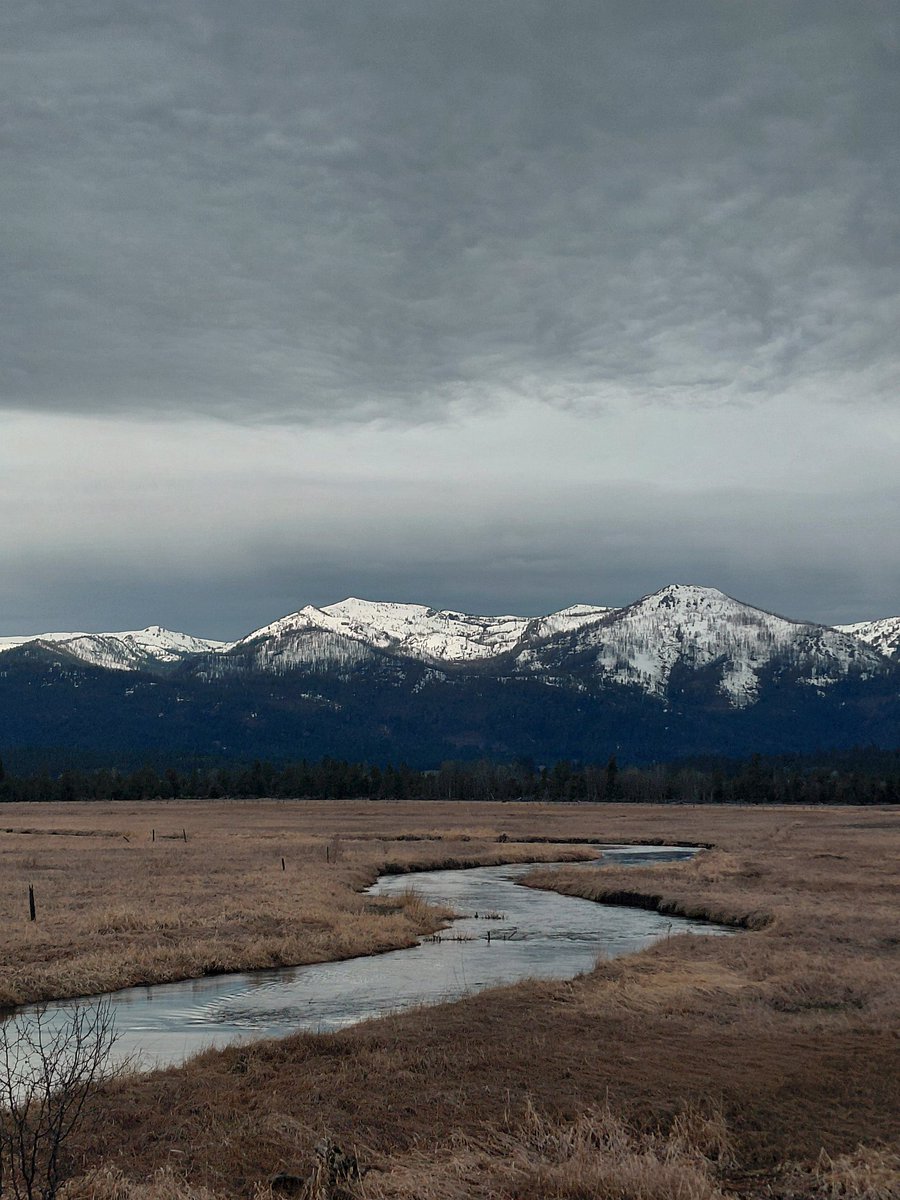 Lost in the Woods tweet media