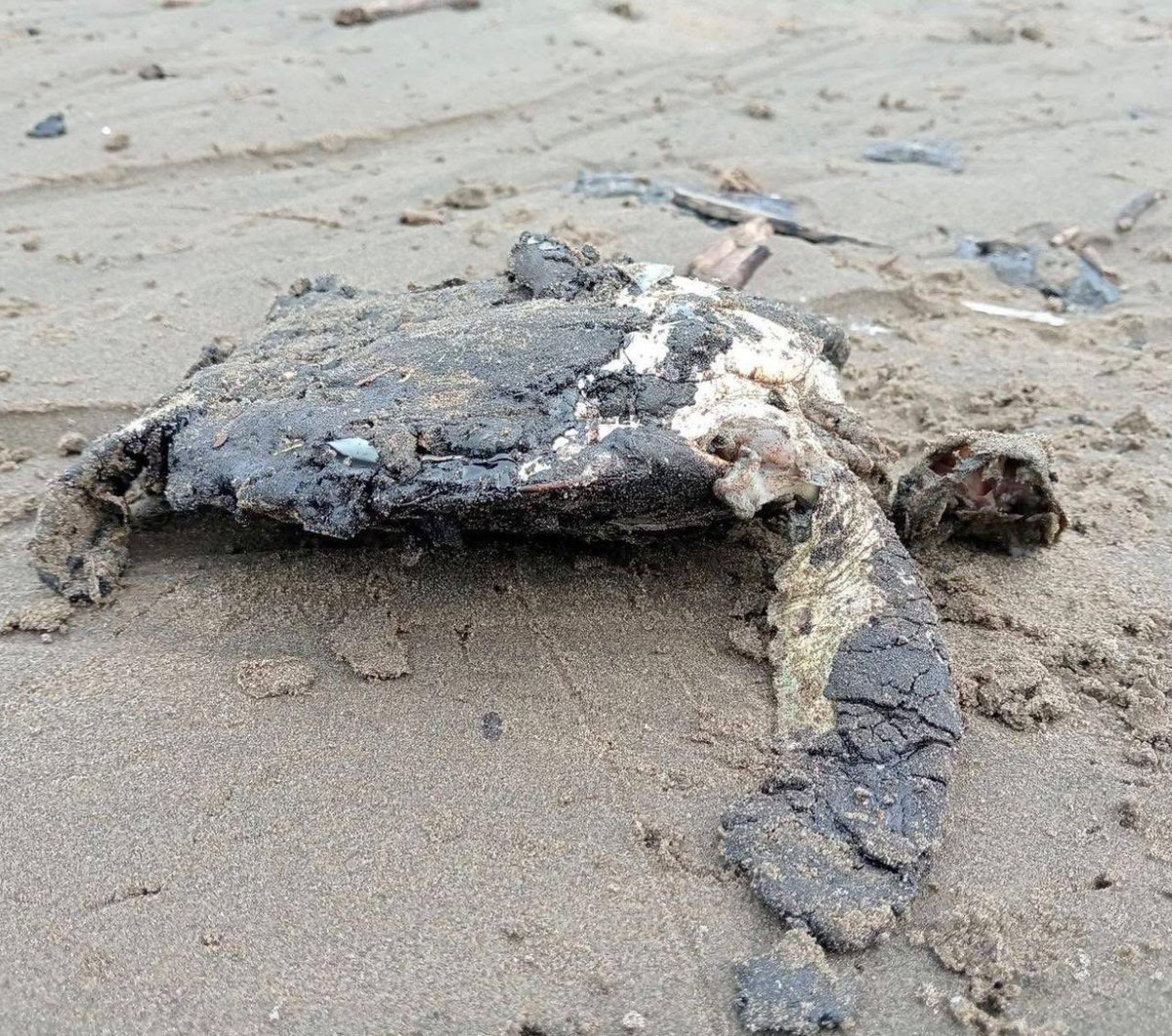 Lluviaa Nice tweet media