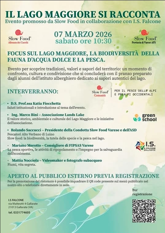 Fabio Fimiani tweet media