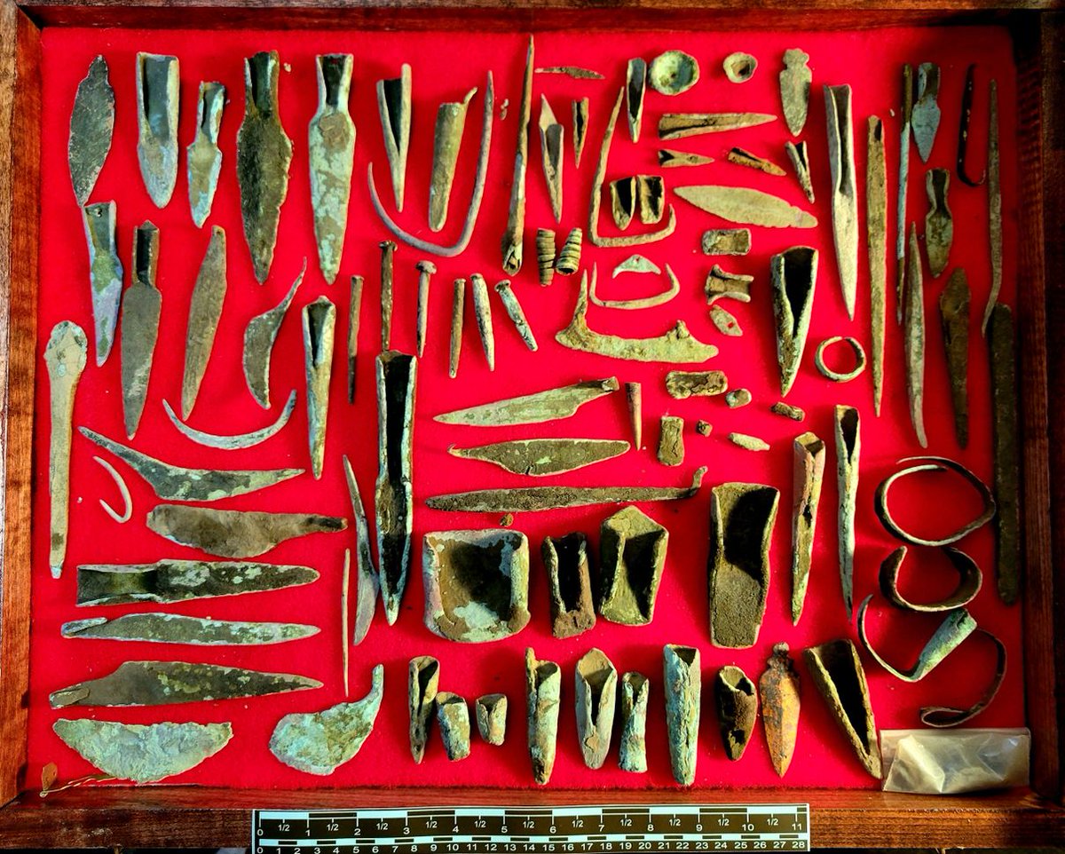 CopperViolette tweet media