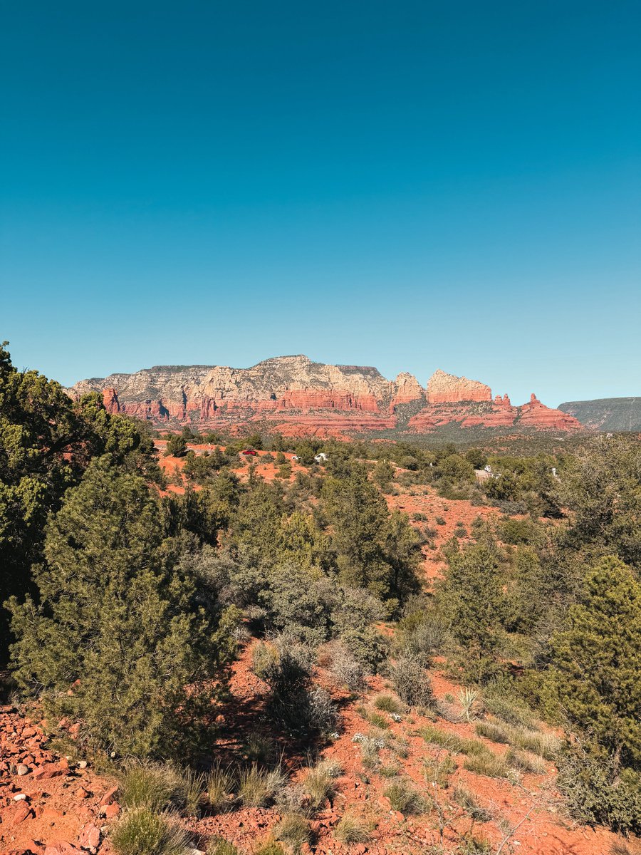 Bill Cardella tweet media