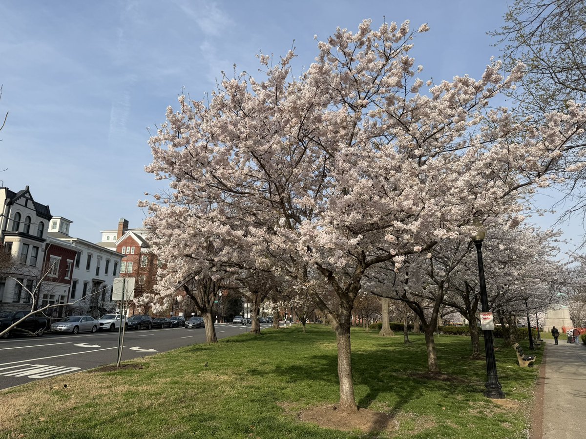 Brian Dautch tweet media