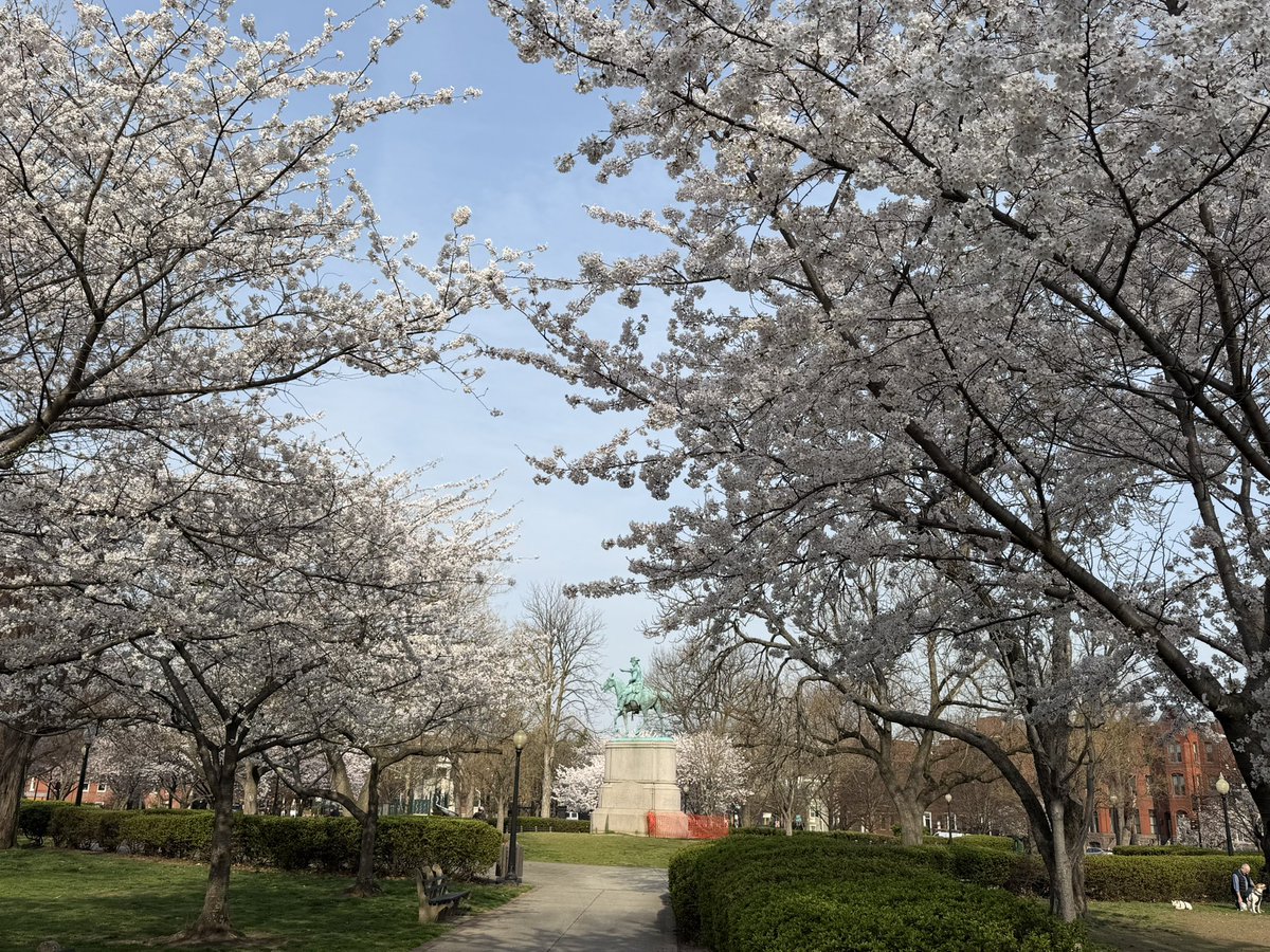 Brian Dautch tweet media