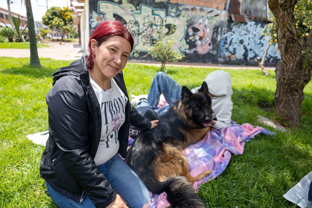 Alcaldía Local de Bosa tweet media