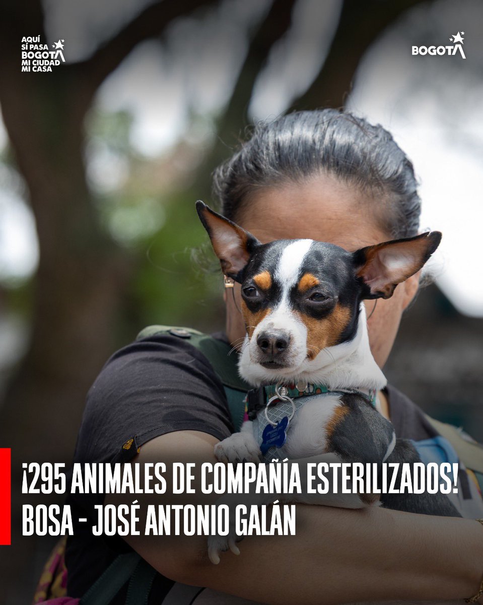 Alcaldía Local de Bosa tweet media