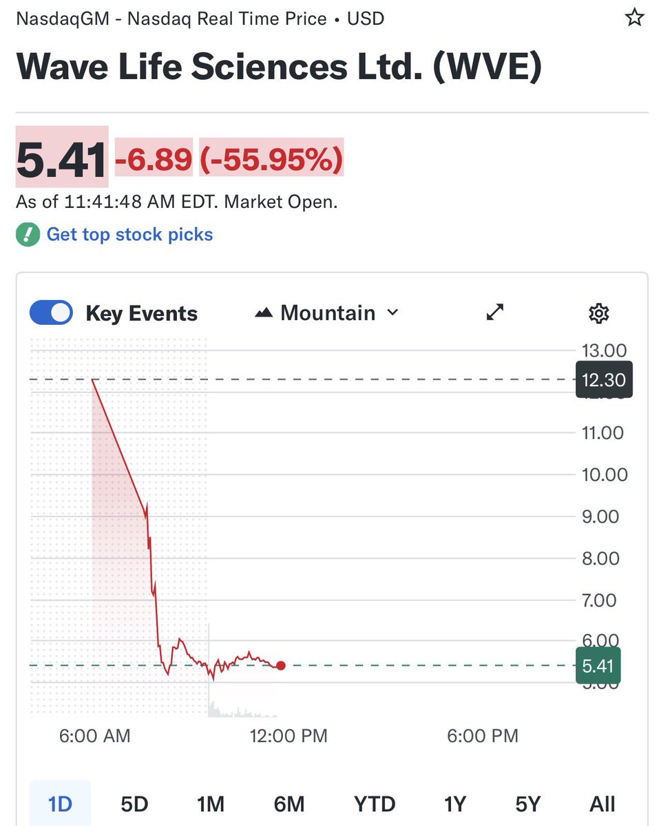 Yair Einhorn tweet media