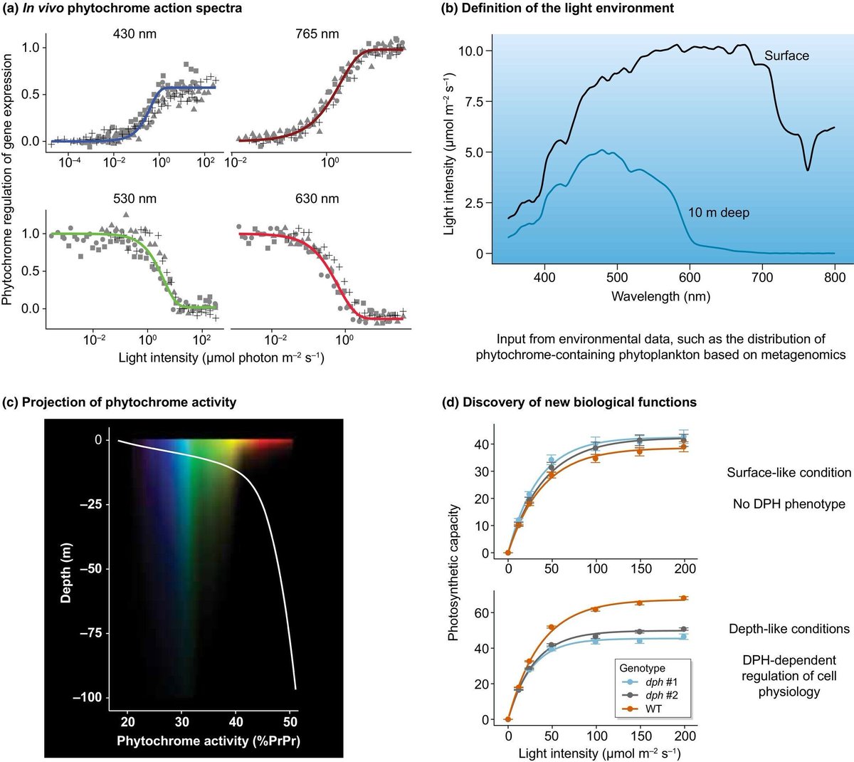 New Phytologist tweet media