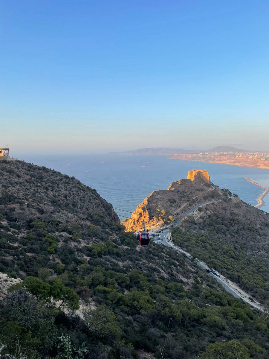 Hiromi Higuruma tweet media