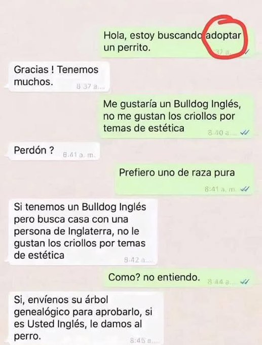 Frases Barbie tweet media