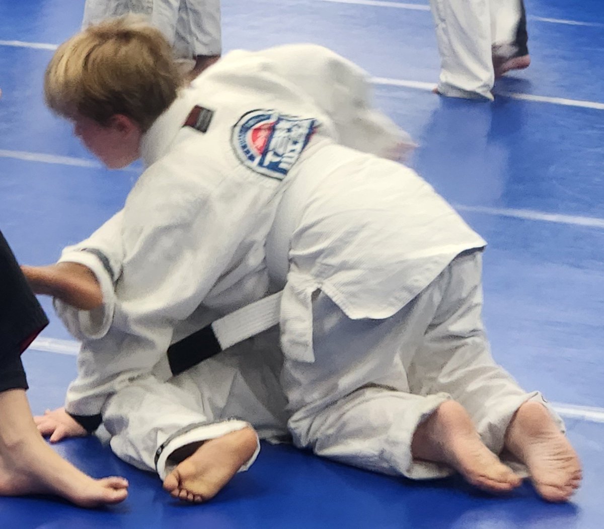 Jinxproof Genetics tweet media