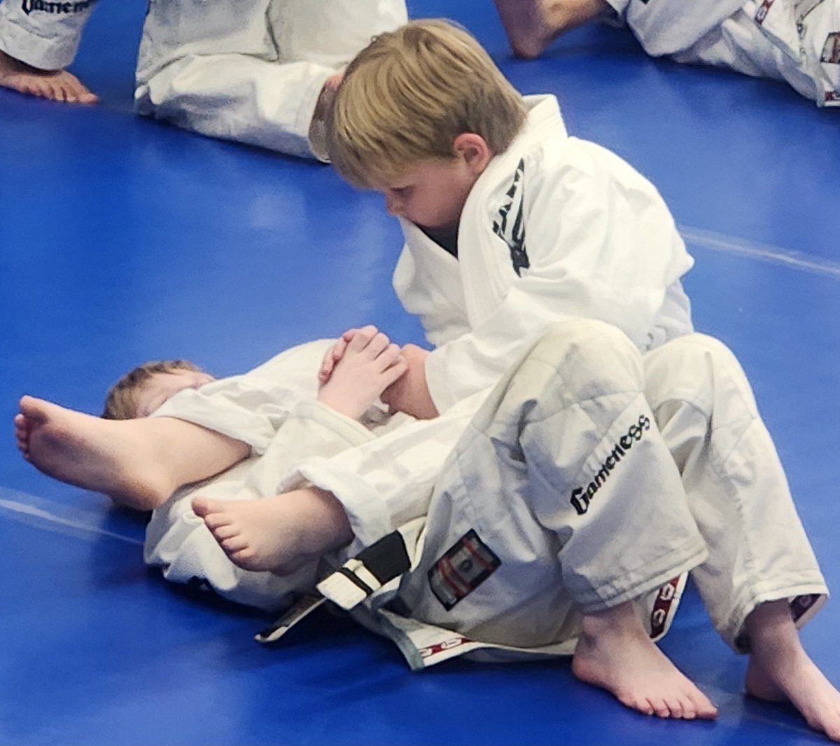 Jinxproof Genetics tweet media