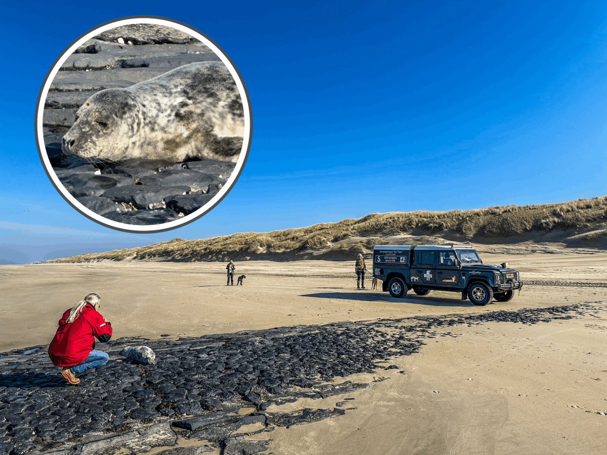 Sander Lindenburg tweet media