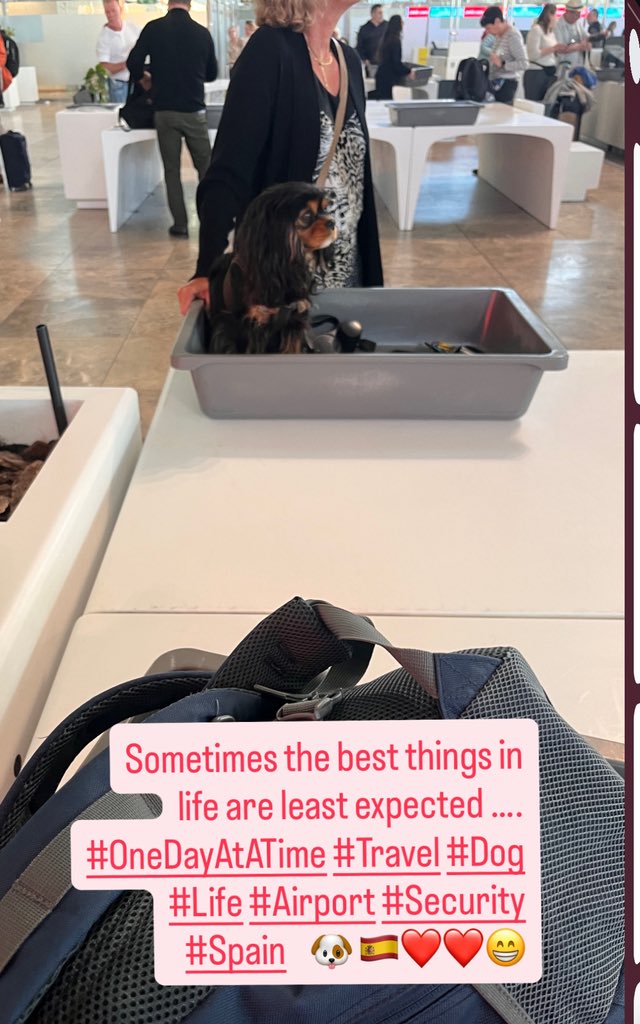 Gary Sharman tweet media