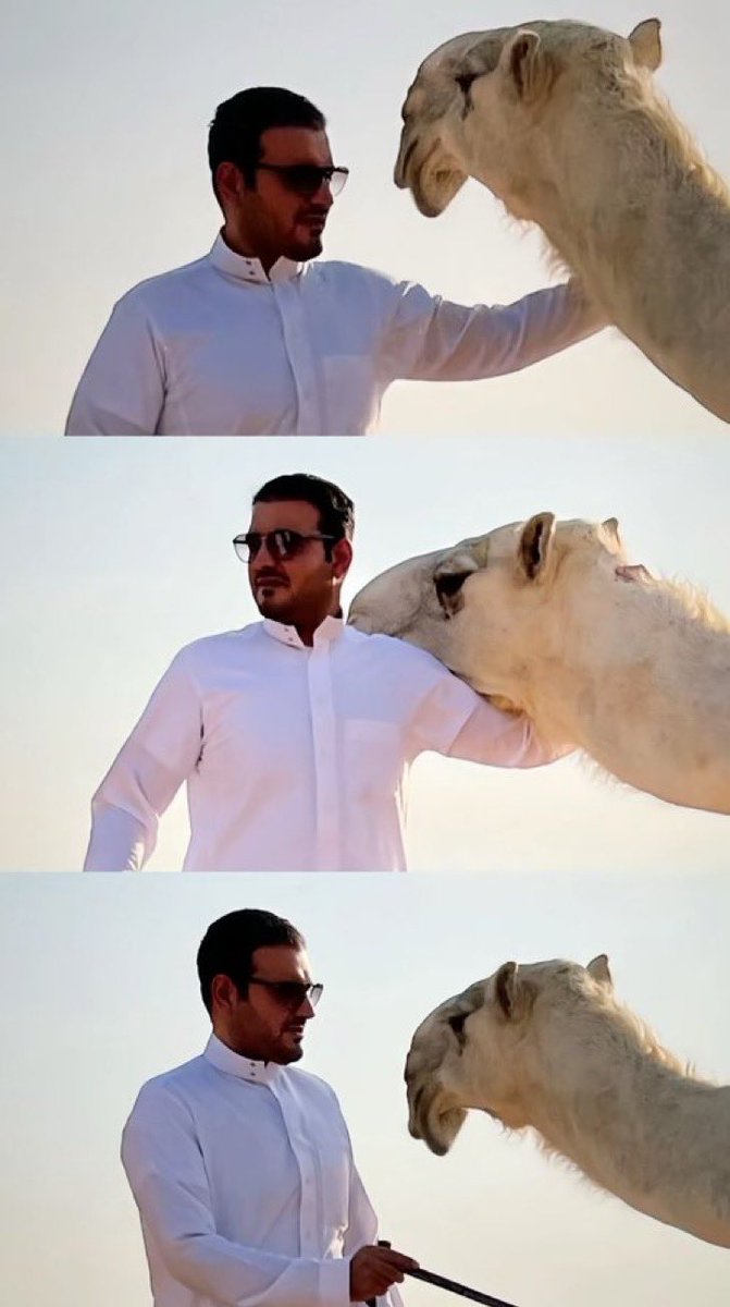 مسعود سعود بن قويزان tweet media