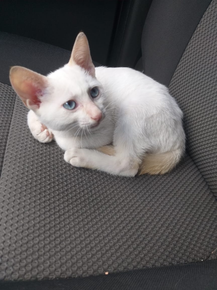 Claudius tweet media